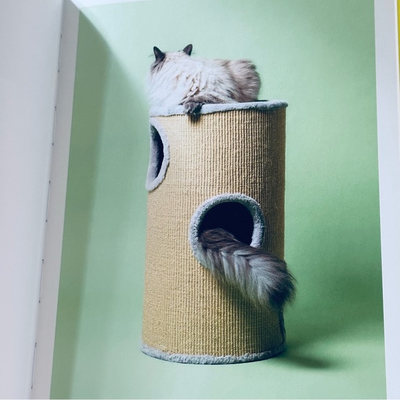 For Cats Only Pascale Weber Hatje Cantz Hardcover Cat Lovers Gift Book - Picture 12 of 13